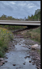 Cascade River State Park