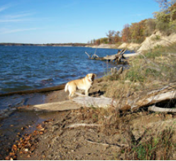 Wilborn Creek (Group Camp)