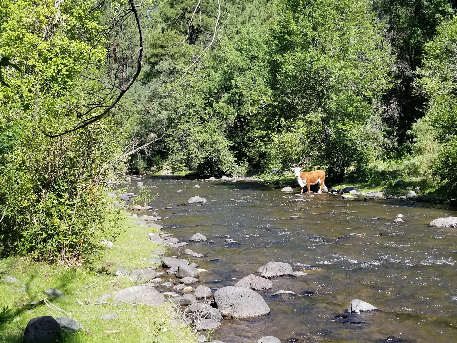 Upper Log Campground