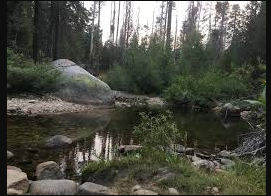 Beasore Meadows RV Park