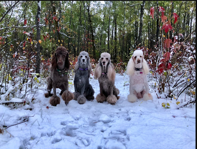 Rock Gardens Campground