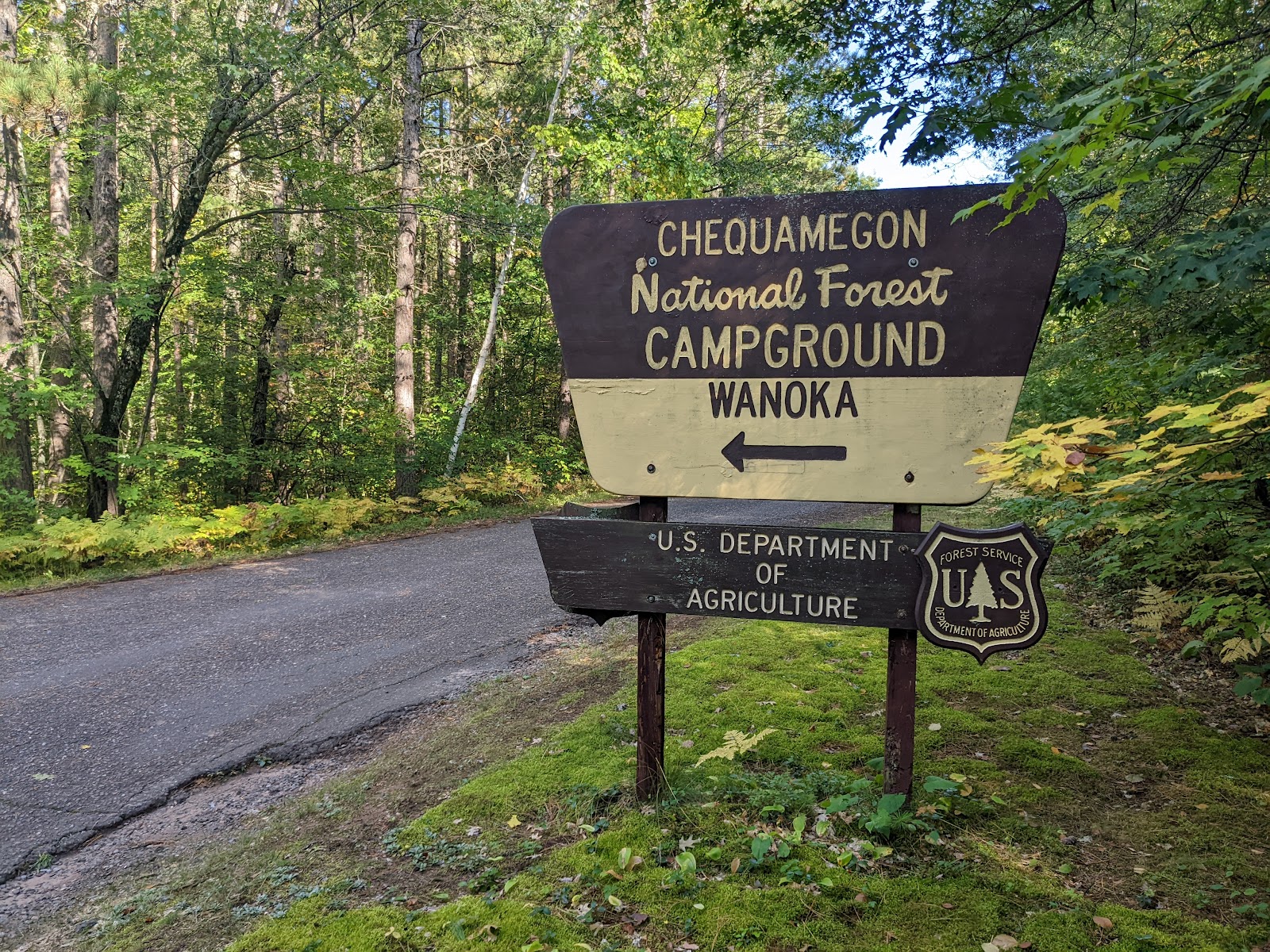 Wanoka Lake NF Campground