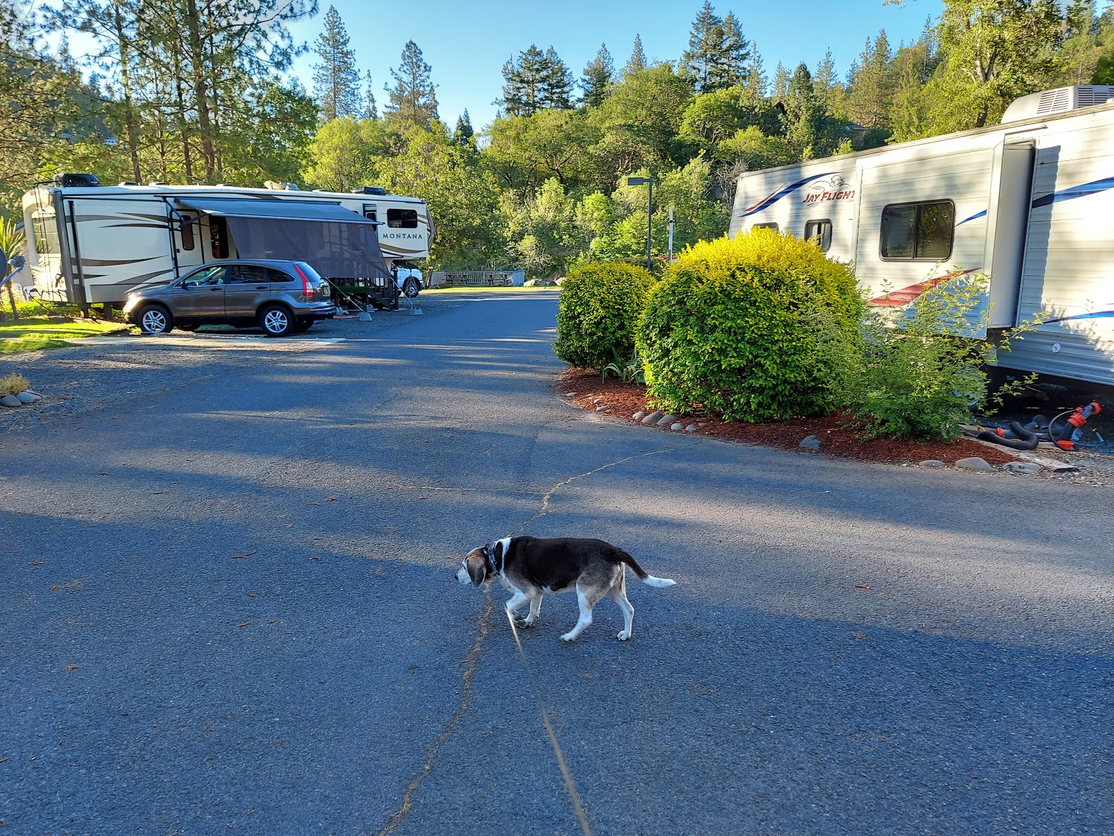 Rogue River RV Park