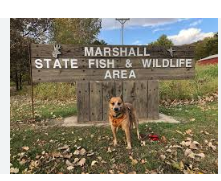 Marshall State Fish & Wildlife Area