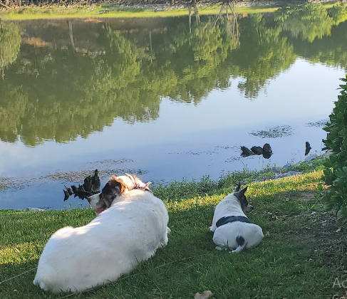 Two Rivers Landing RV Resort