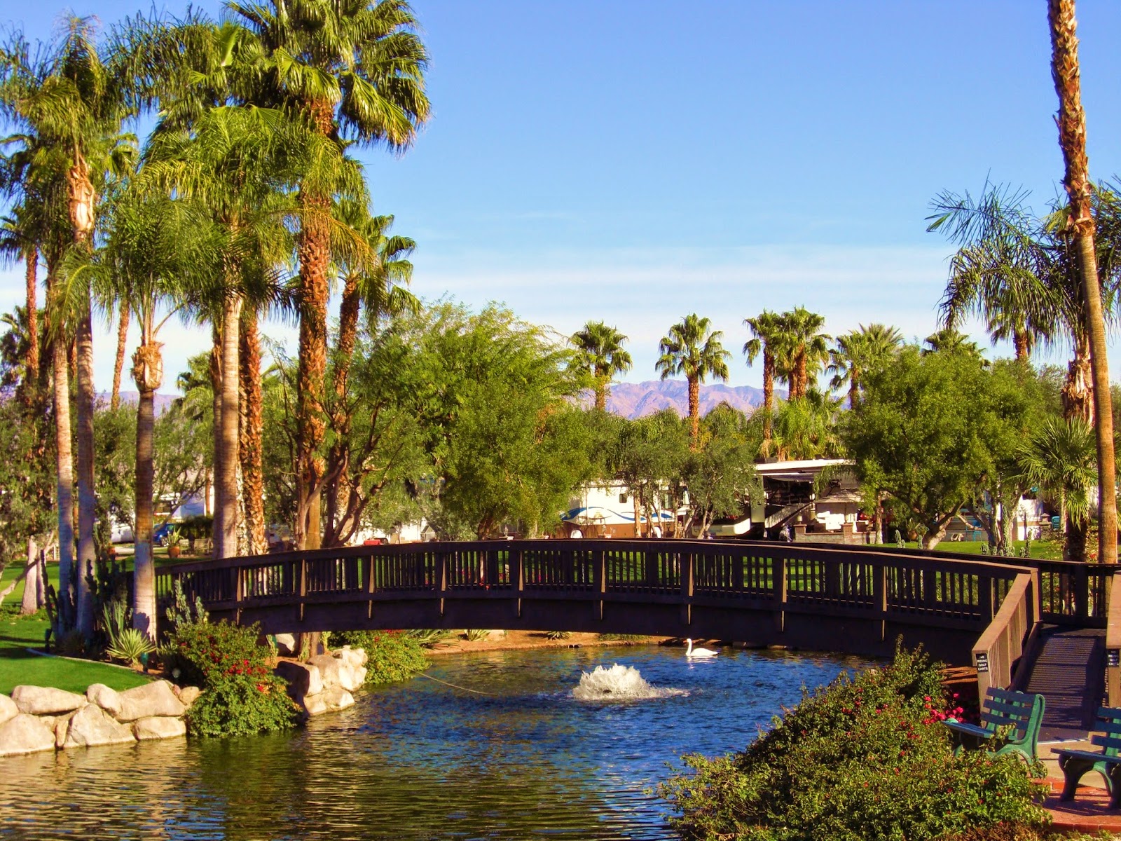 Outdoor Resort - Palm Springs