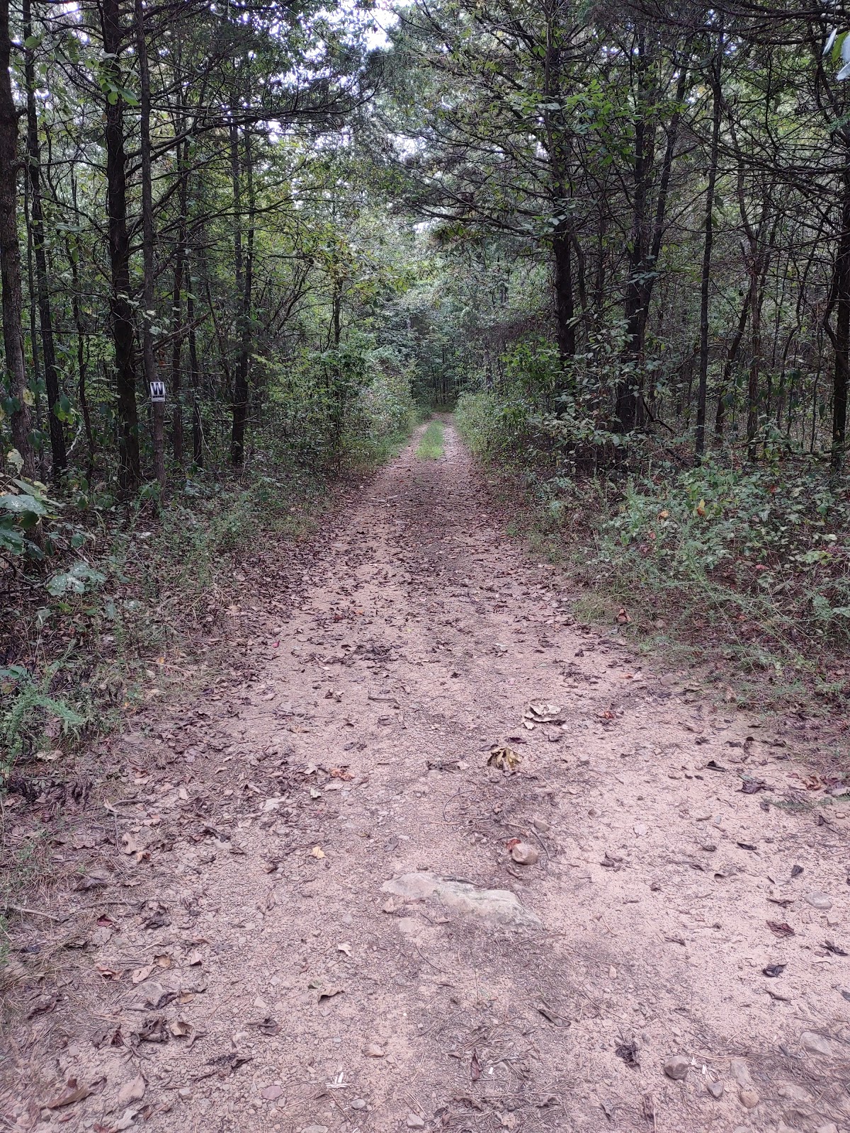 Mount Magazine Horse Camp