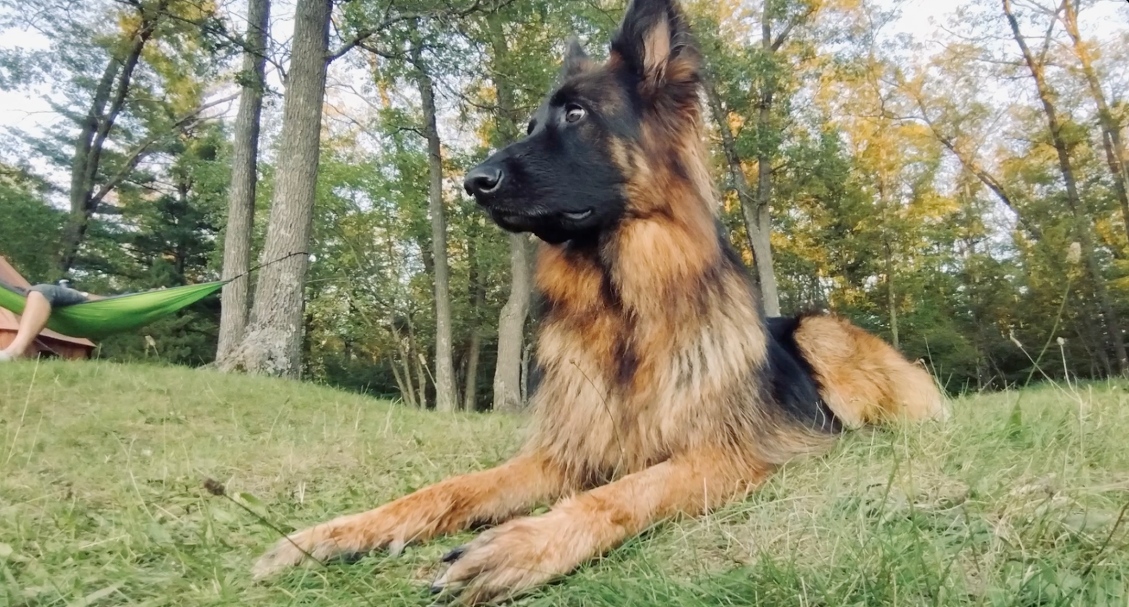 Highbank Lake Campground