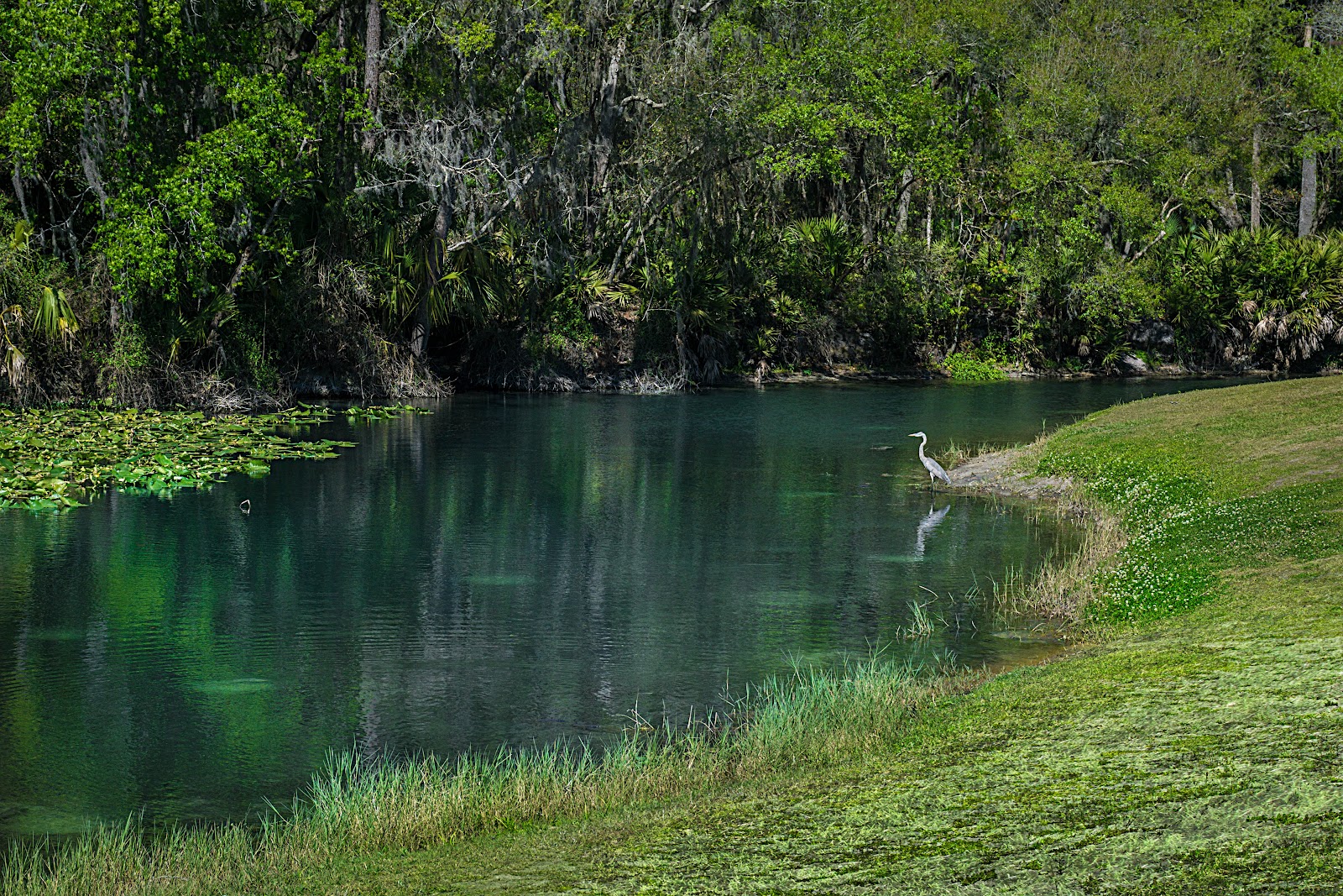 Wekiva Falls RV Resort