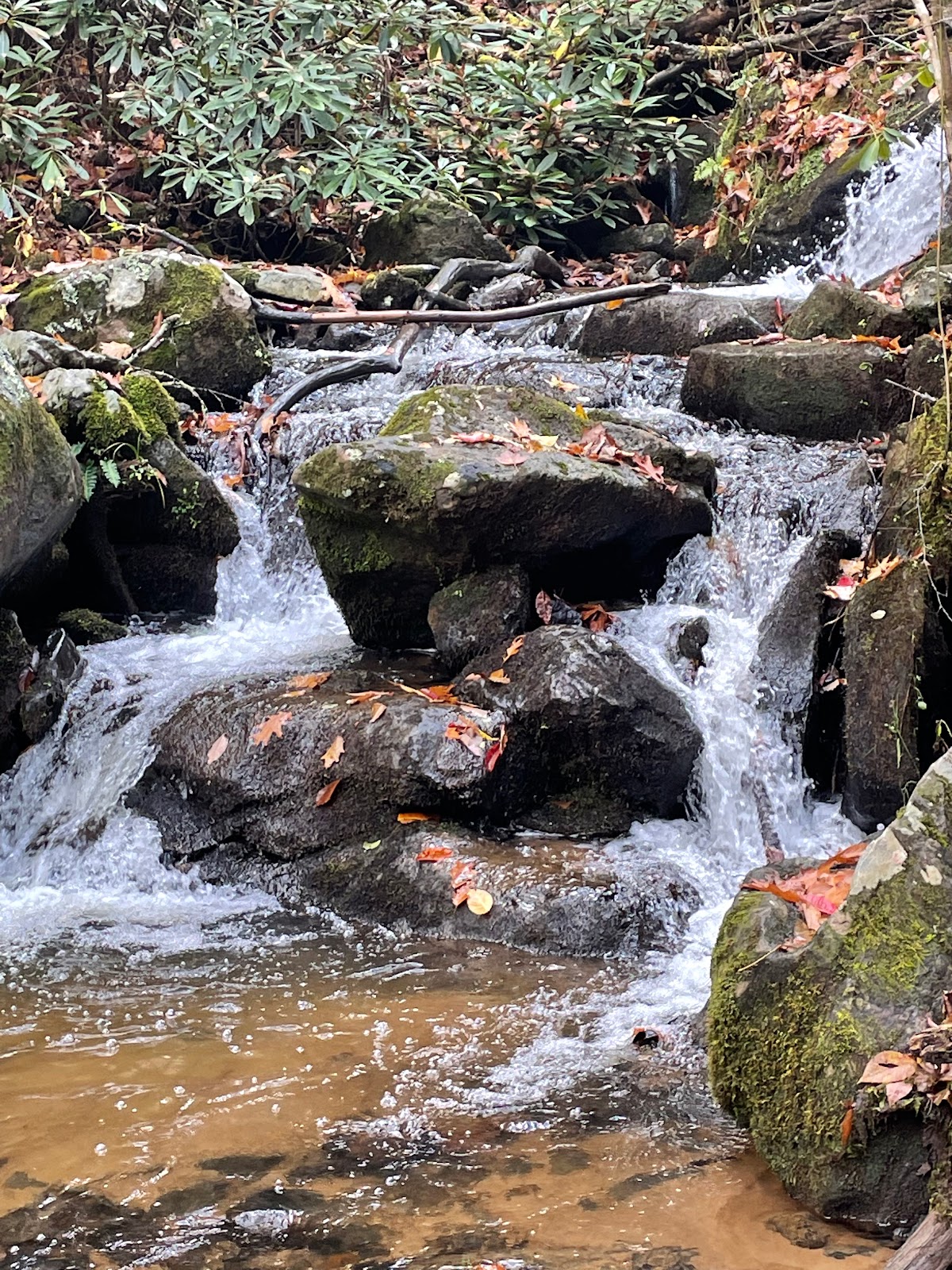 Jefferson/Hurricane Campground