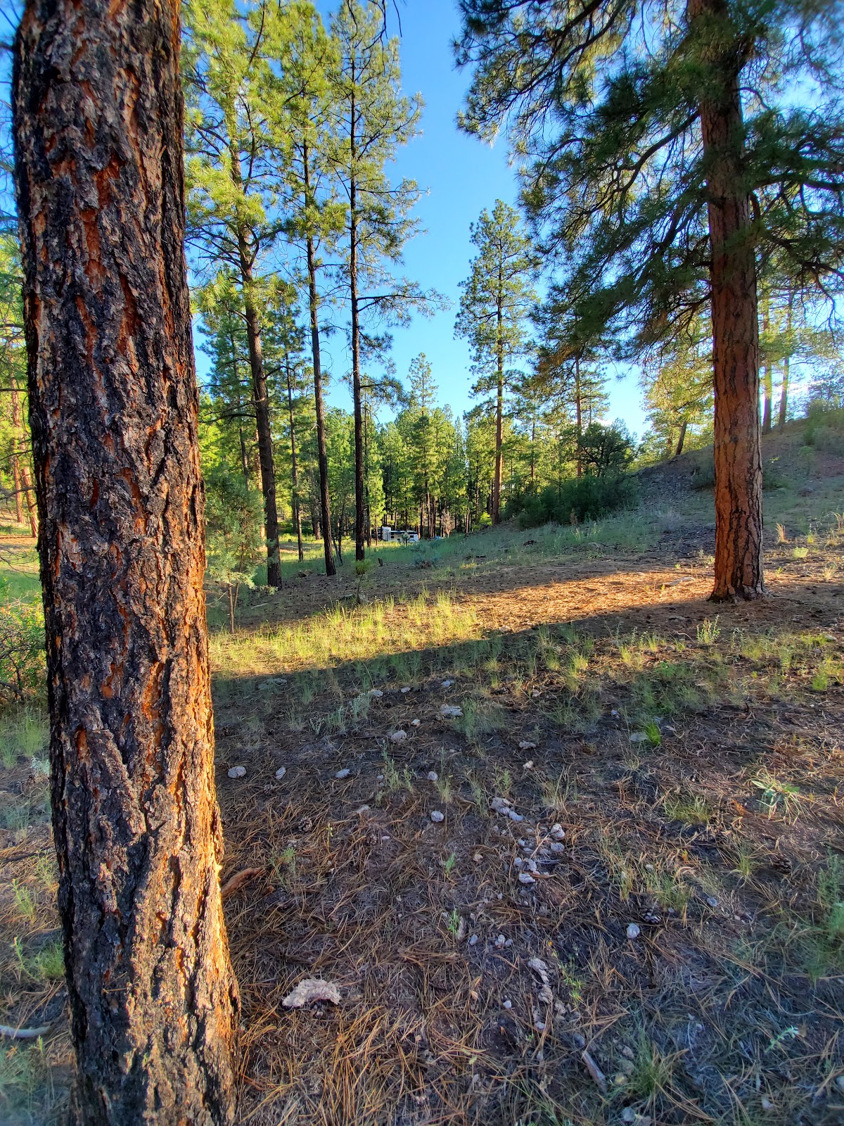 Paliza Family Campground