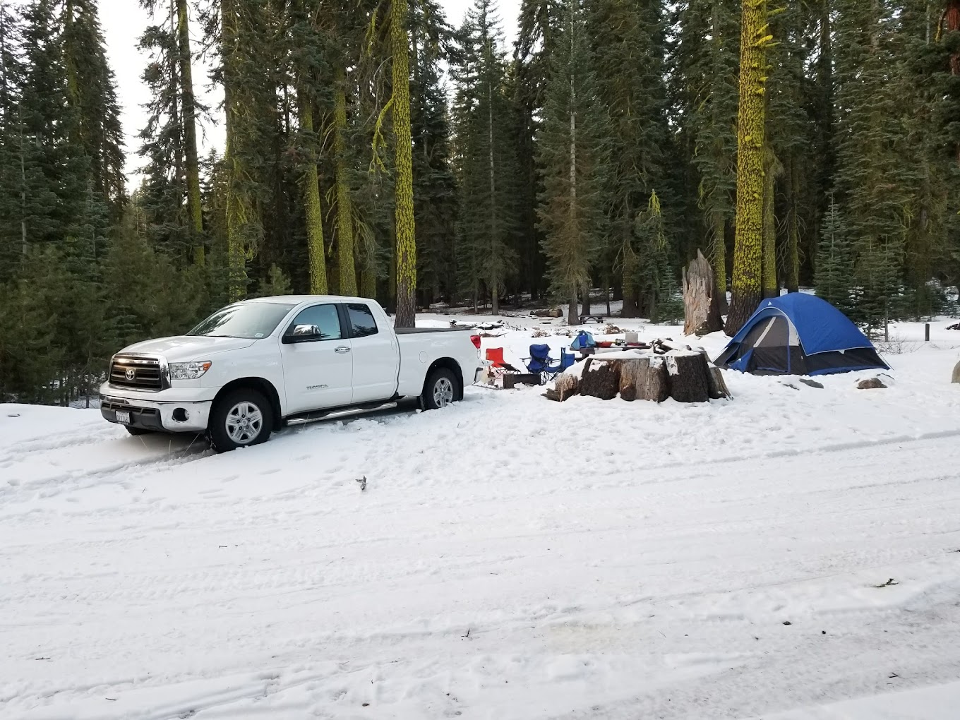 Yuba Pass Campground
