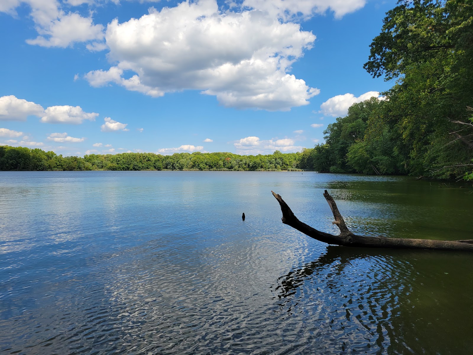 Lums Park Campground