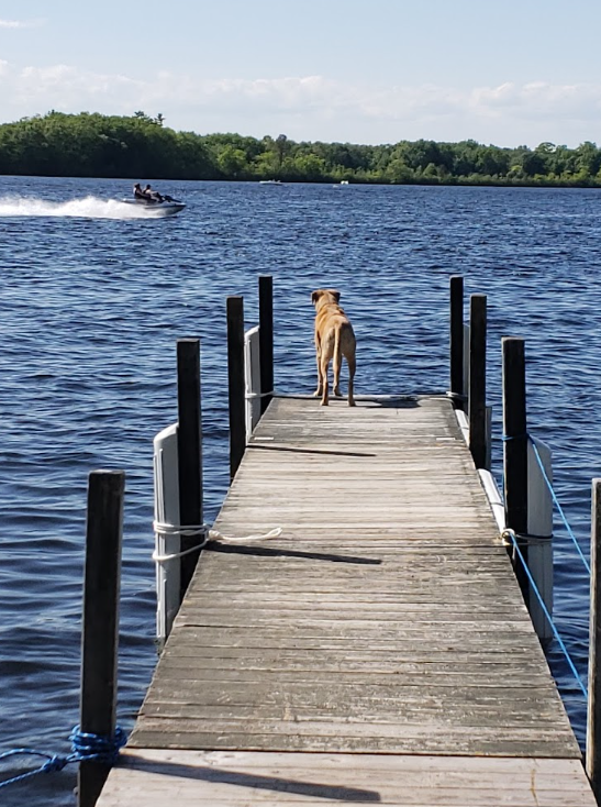 Laurel Lock Family Campground