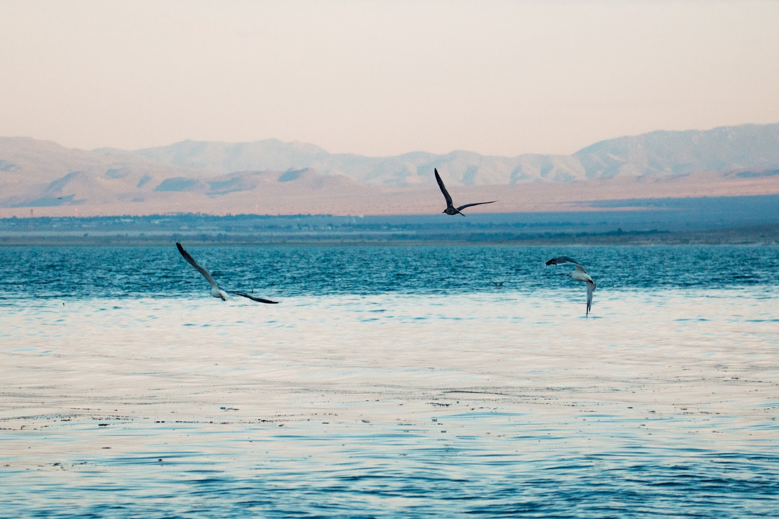 Twenty Mile Beach Campground