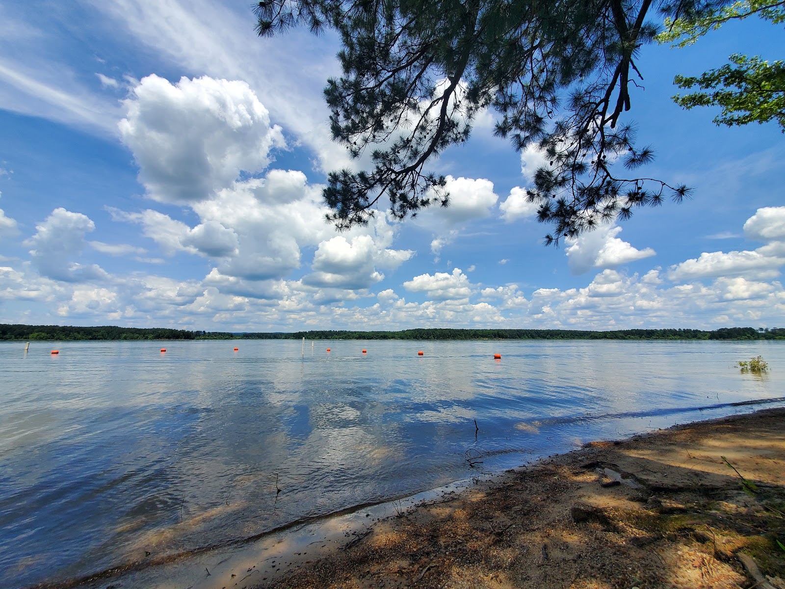 Alpine Ridge  De Gray Lake Camping