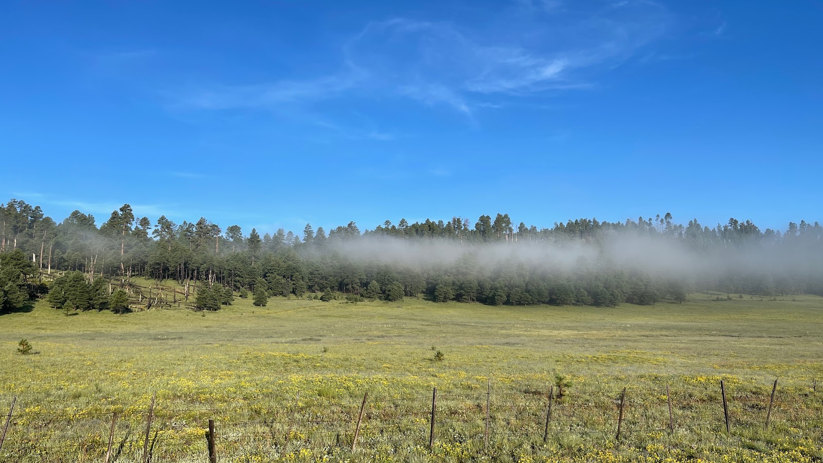 Cutthroat Campground