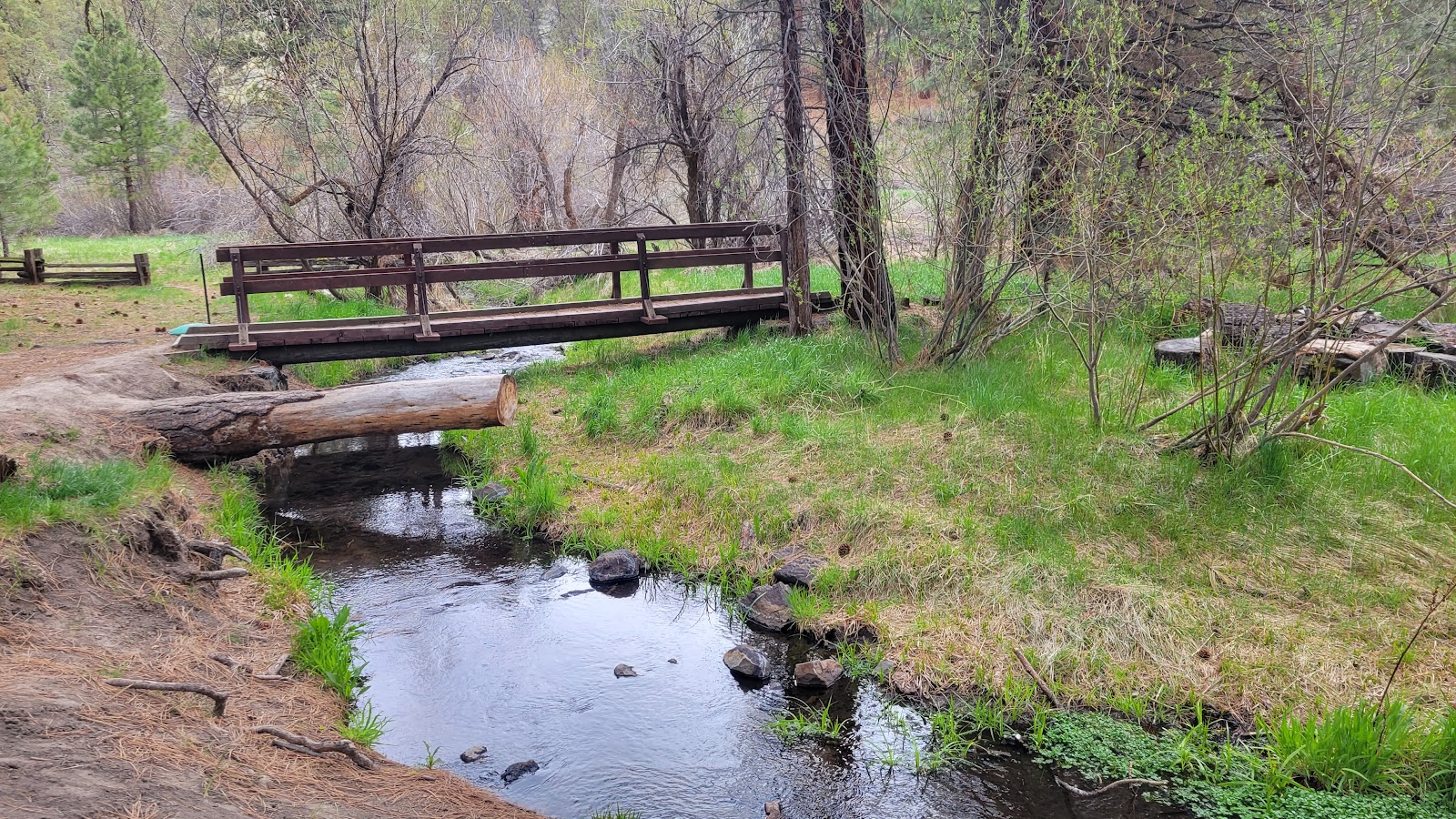 Willow Creek Campground