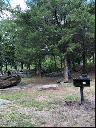 Ladybird Landing Camping