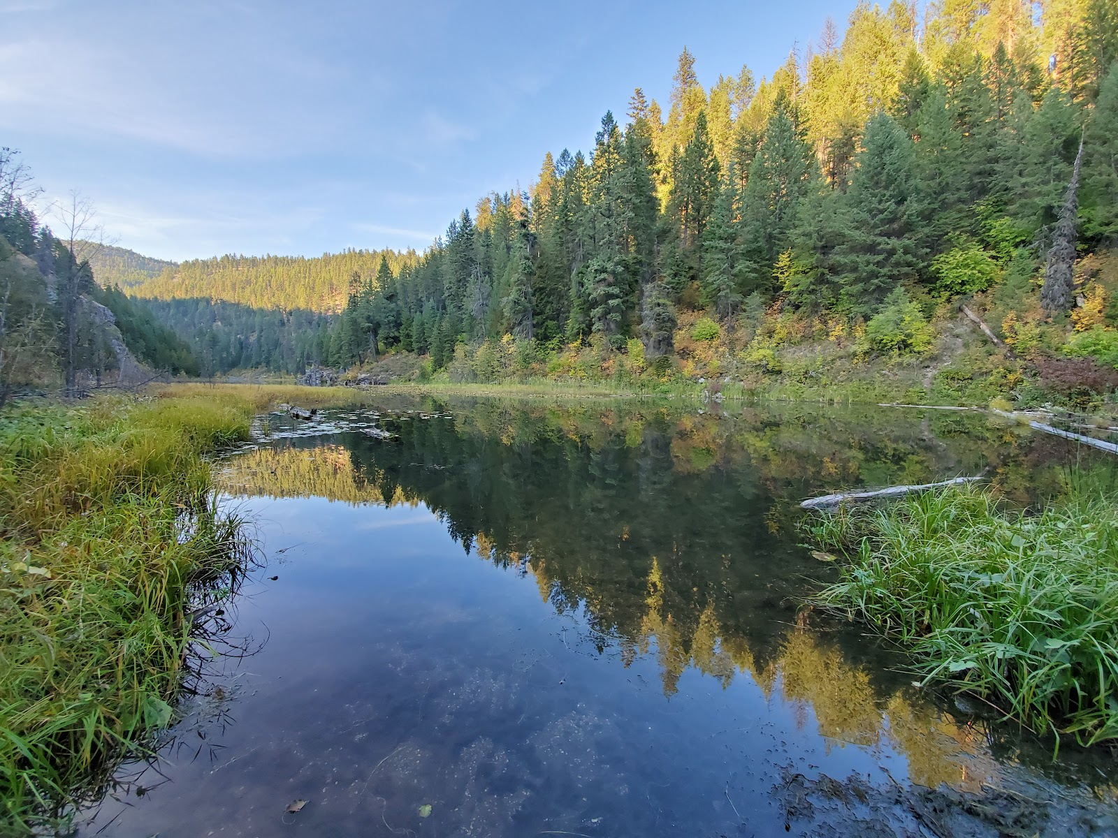 Trout Lake Campground