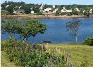 Greenwood Hill Campground Associates