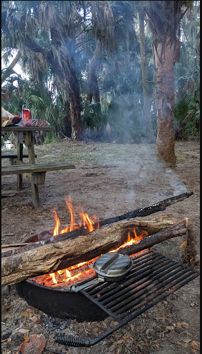 Orange Point - Welaka State Forest