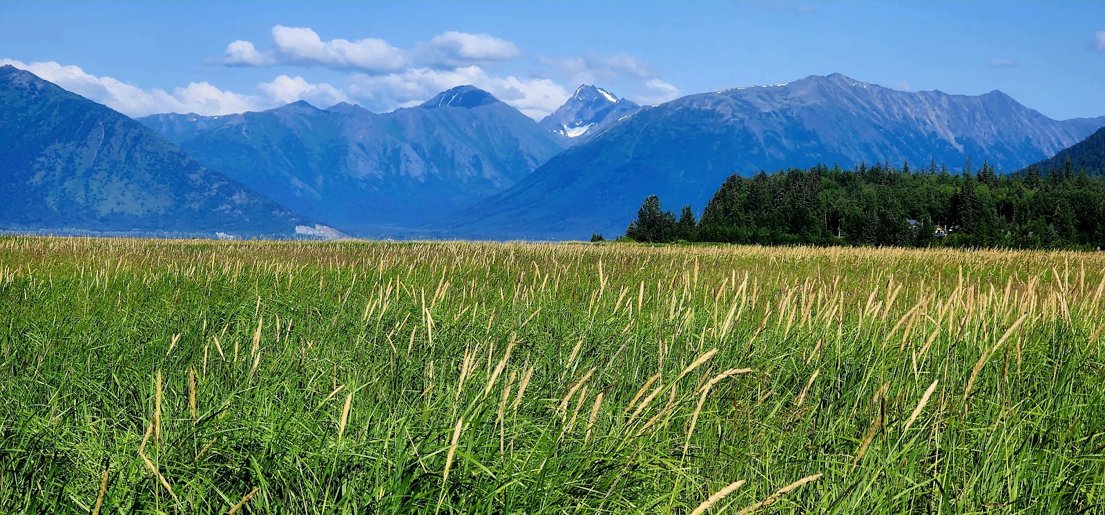 Seaview RV Park and Campground