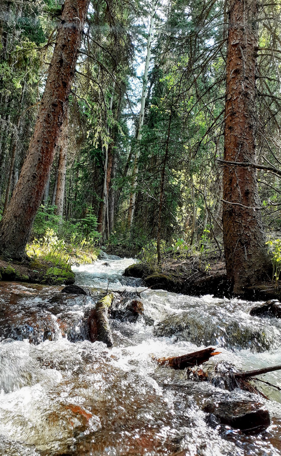 Deer Creek Campground