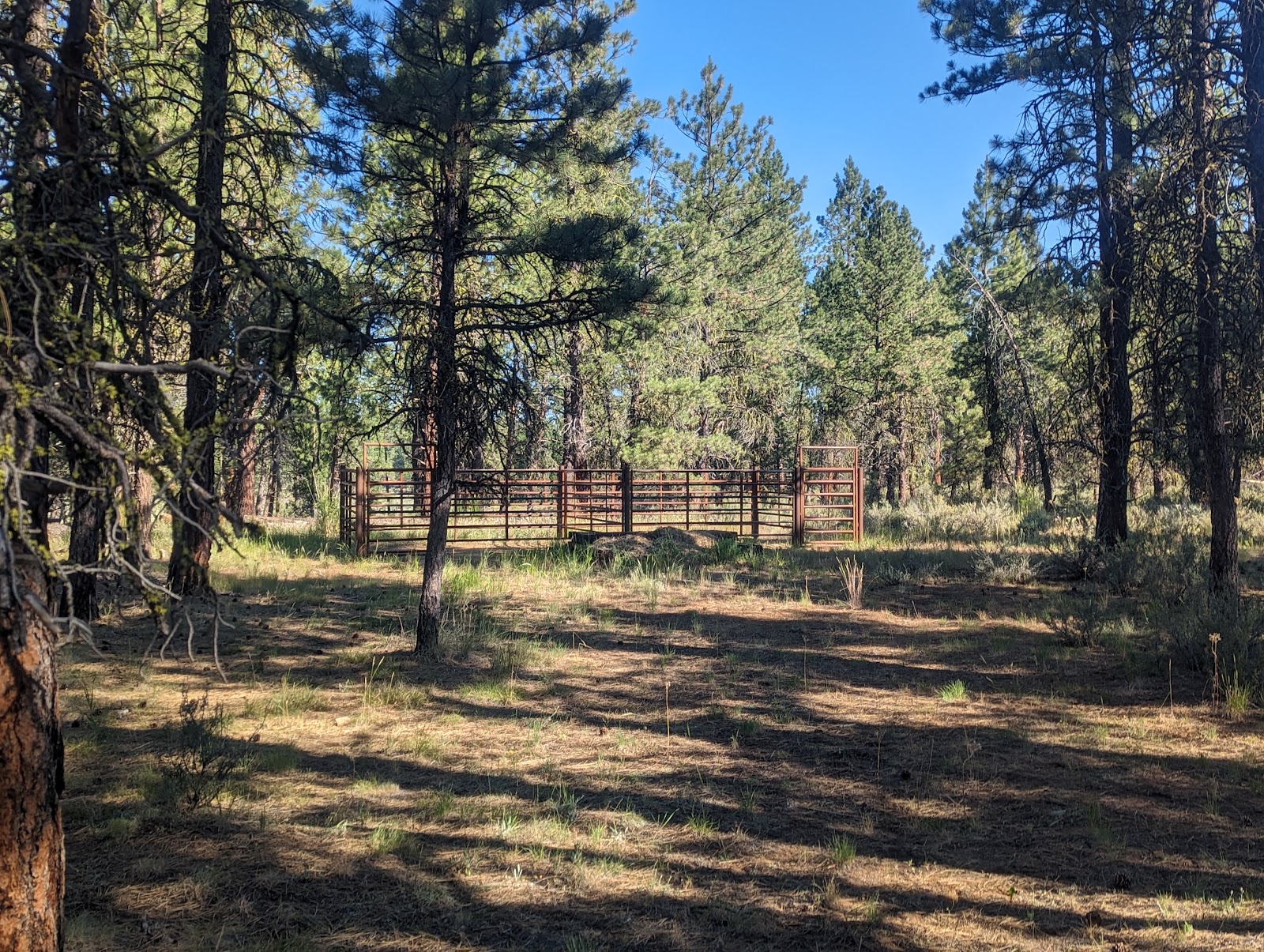 Joaquin Miller Horse Campground