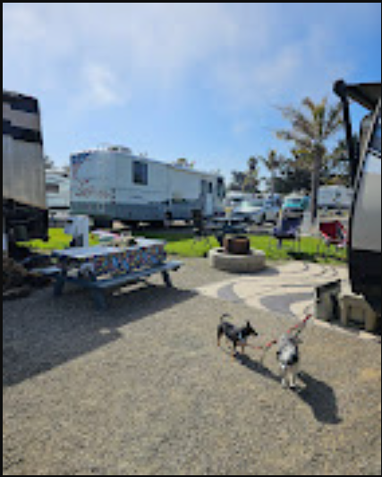 Pismo Coast Village RV Resort