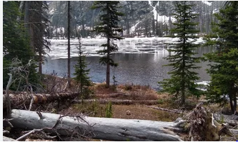 Jack's RV Park & Motel