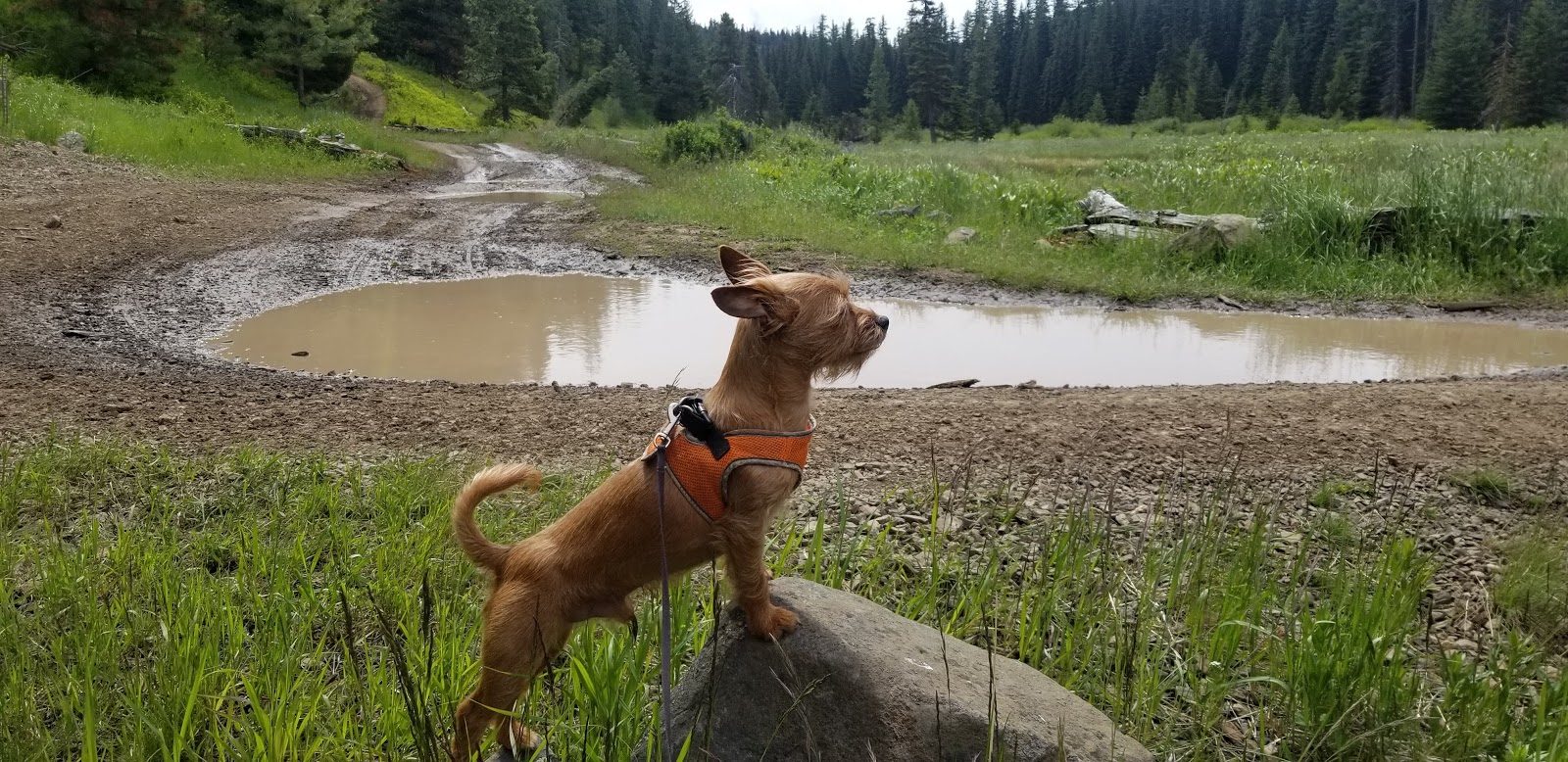 Riders Camp Campground