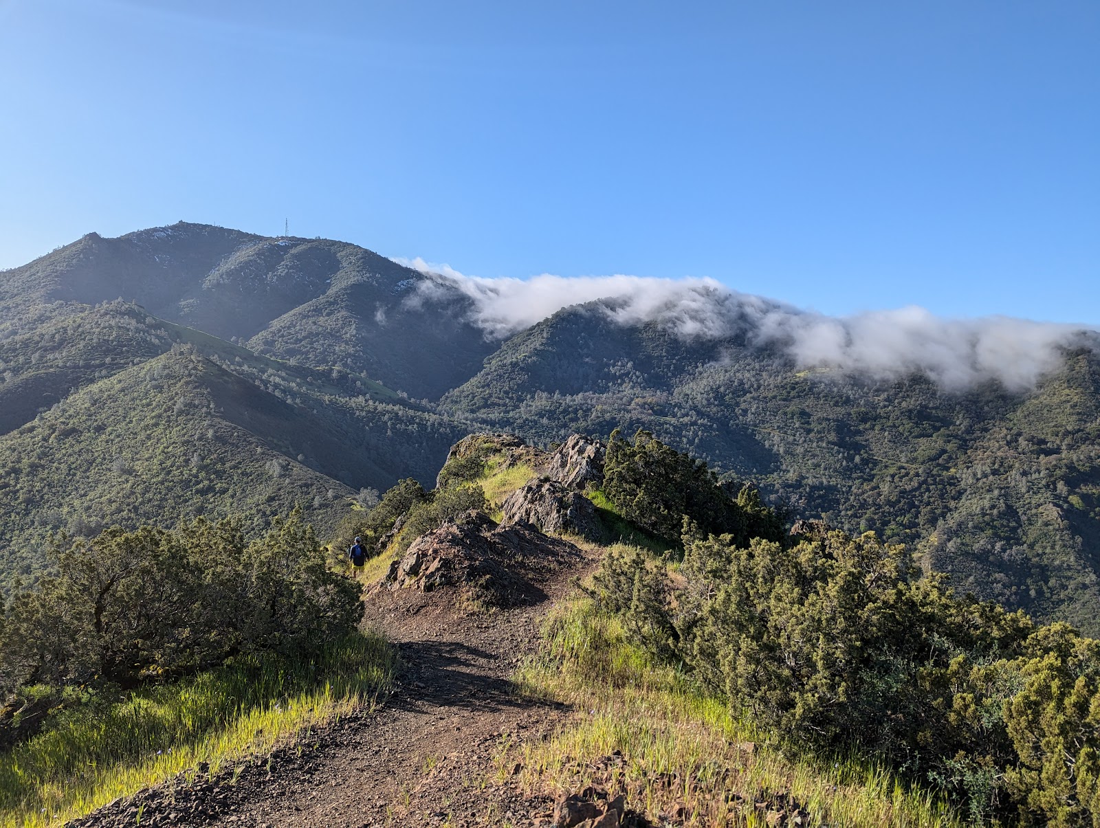 Junction - Mt Diablo State Park