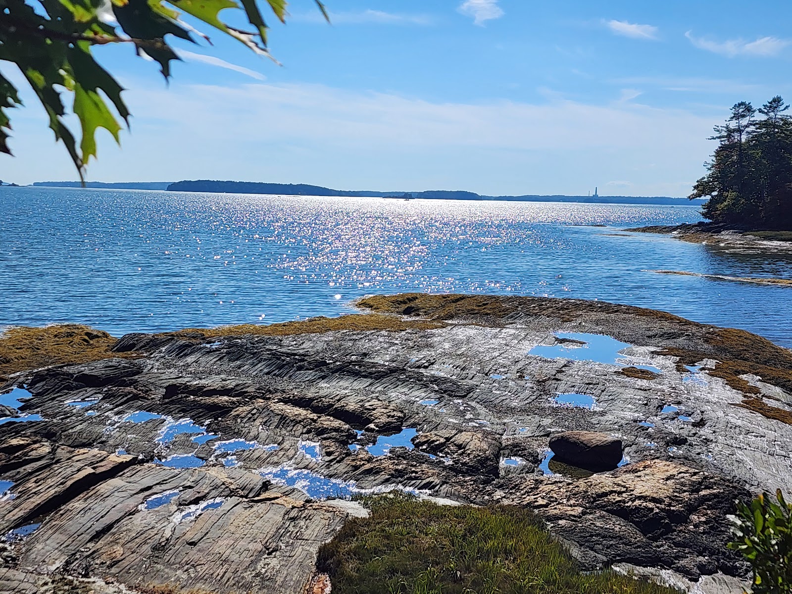 Recompence Shore Campsites