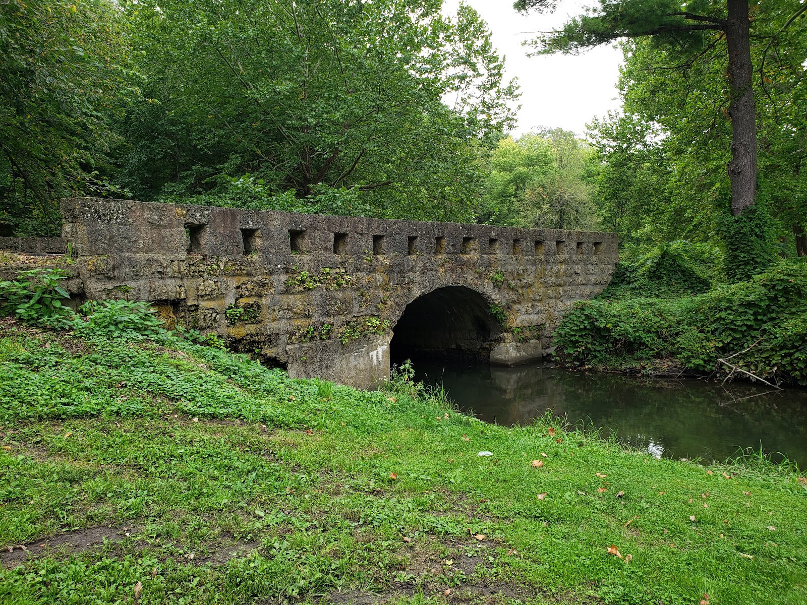 Seward Bluffs Forest Preserve