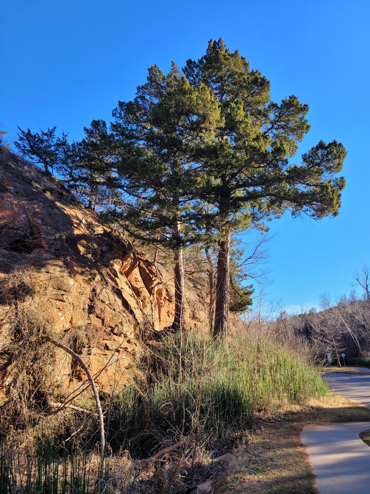 Red Rock Canyon State Park