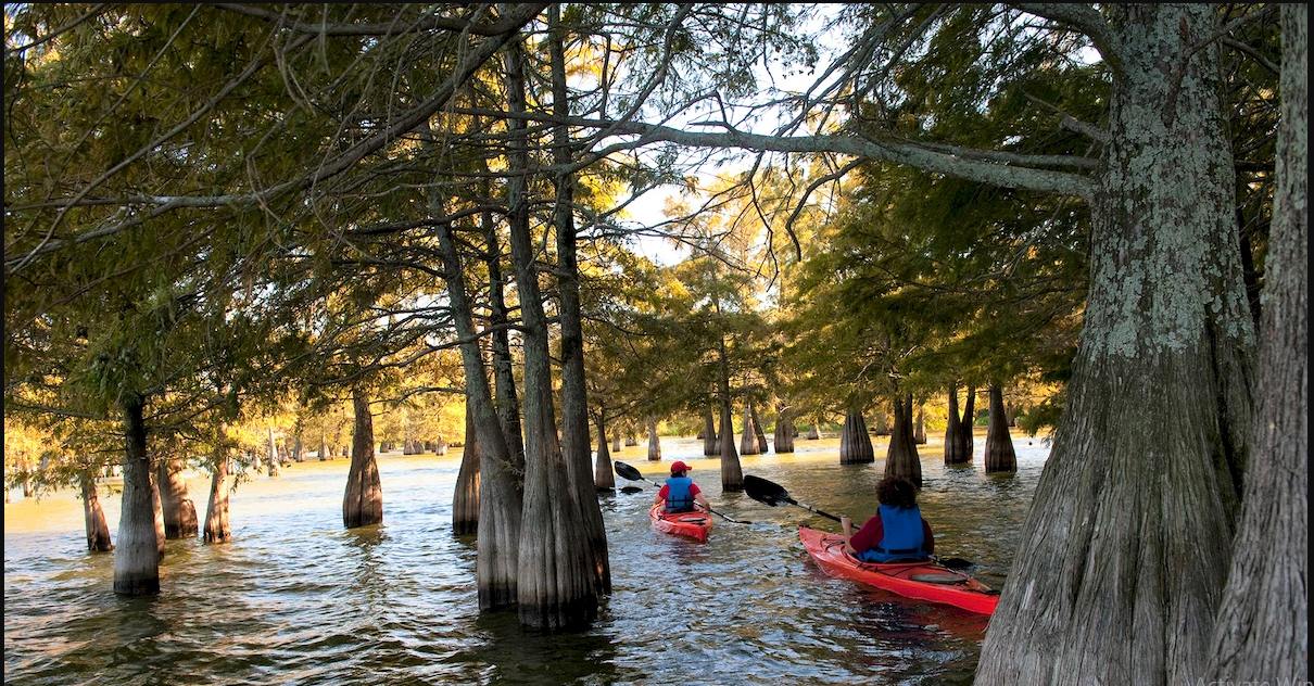 LaCotts Hunting Lodge