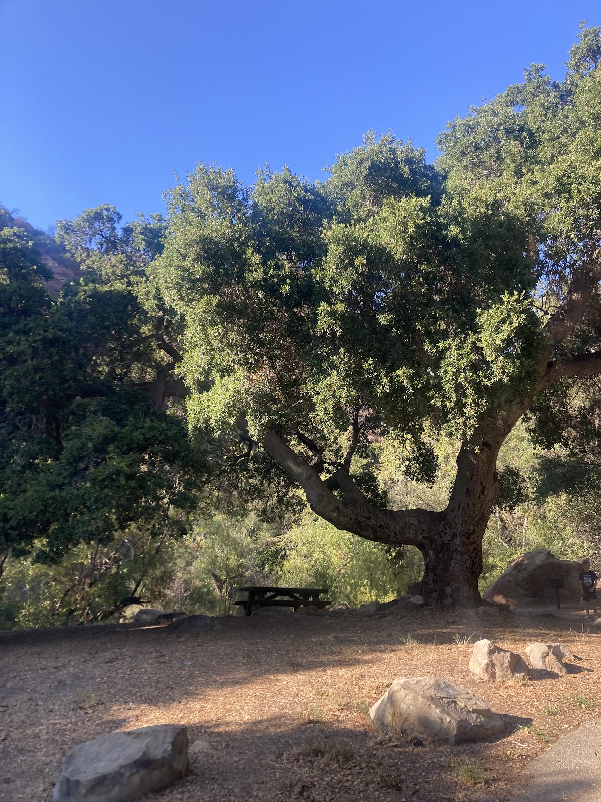 Wheeler Gorge Campground