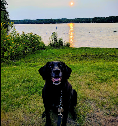 Twin Bear Park Bayfield County Park