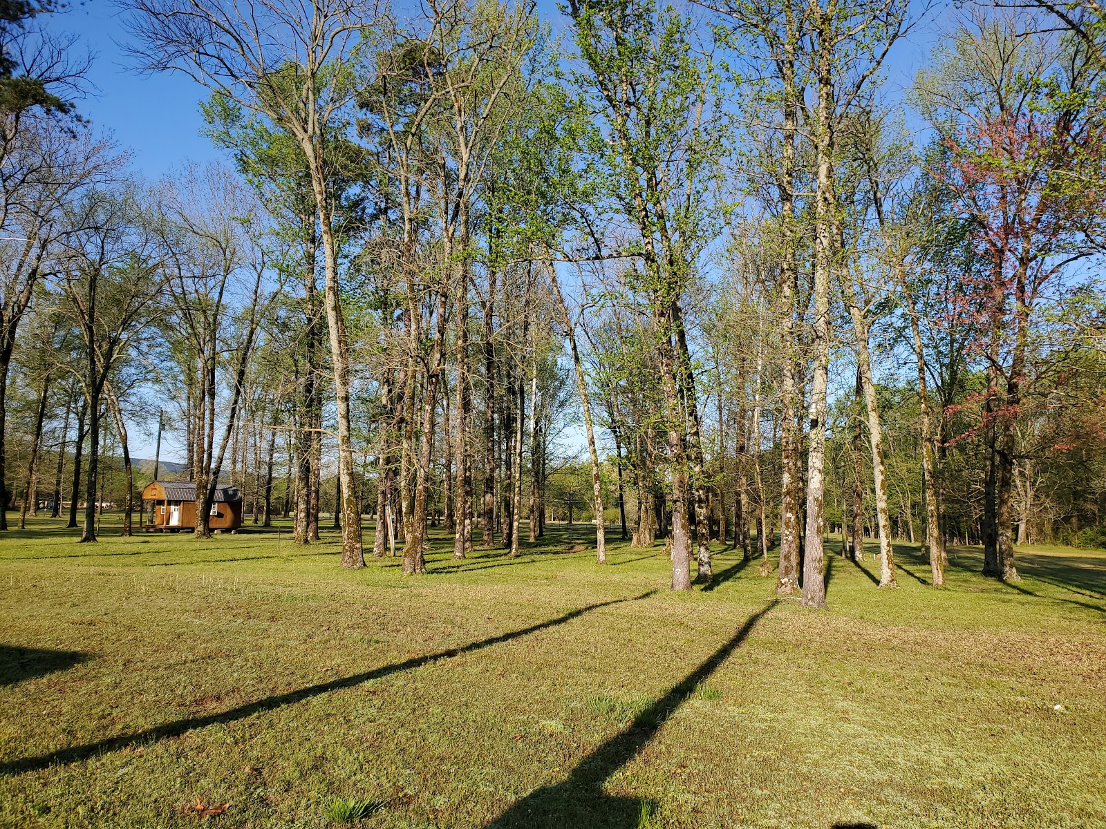 Cypress Creek Recreation Area