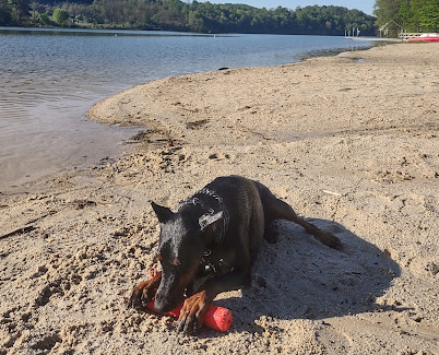 Rocky Gap State Park