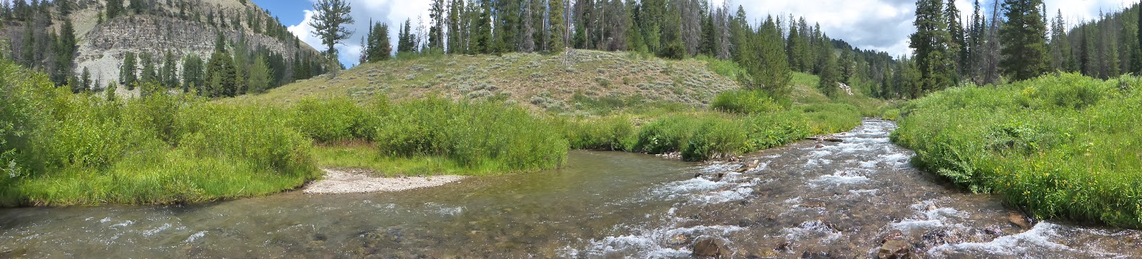Lake Alice Campground