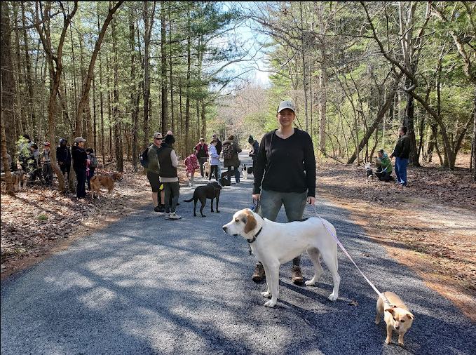 Belleplain State Forest