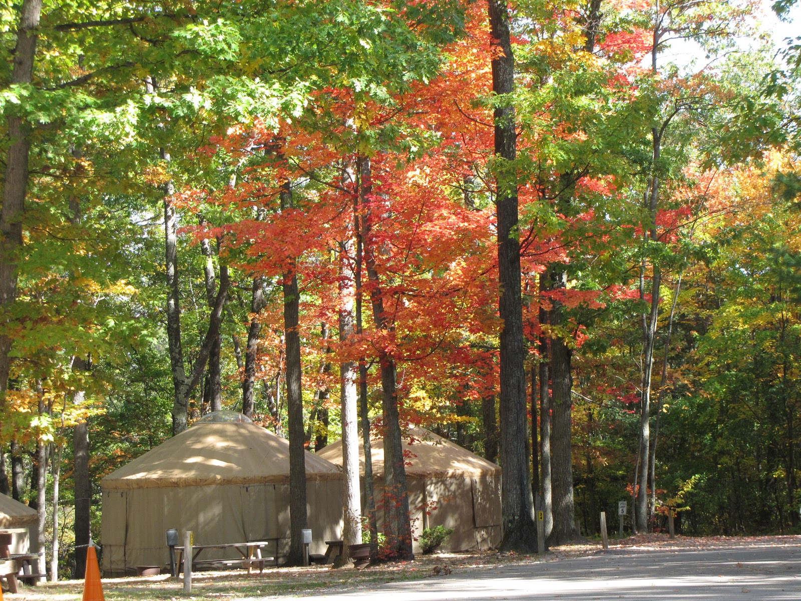 Higgins Hills RV Park