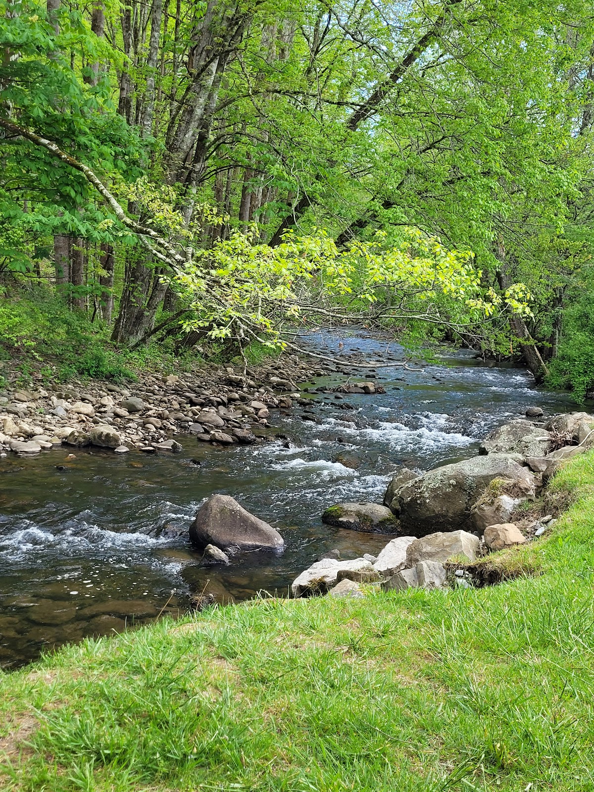 Roan Mountain State Park