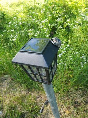 Heartstone Campground