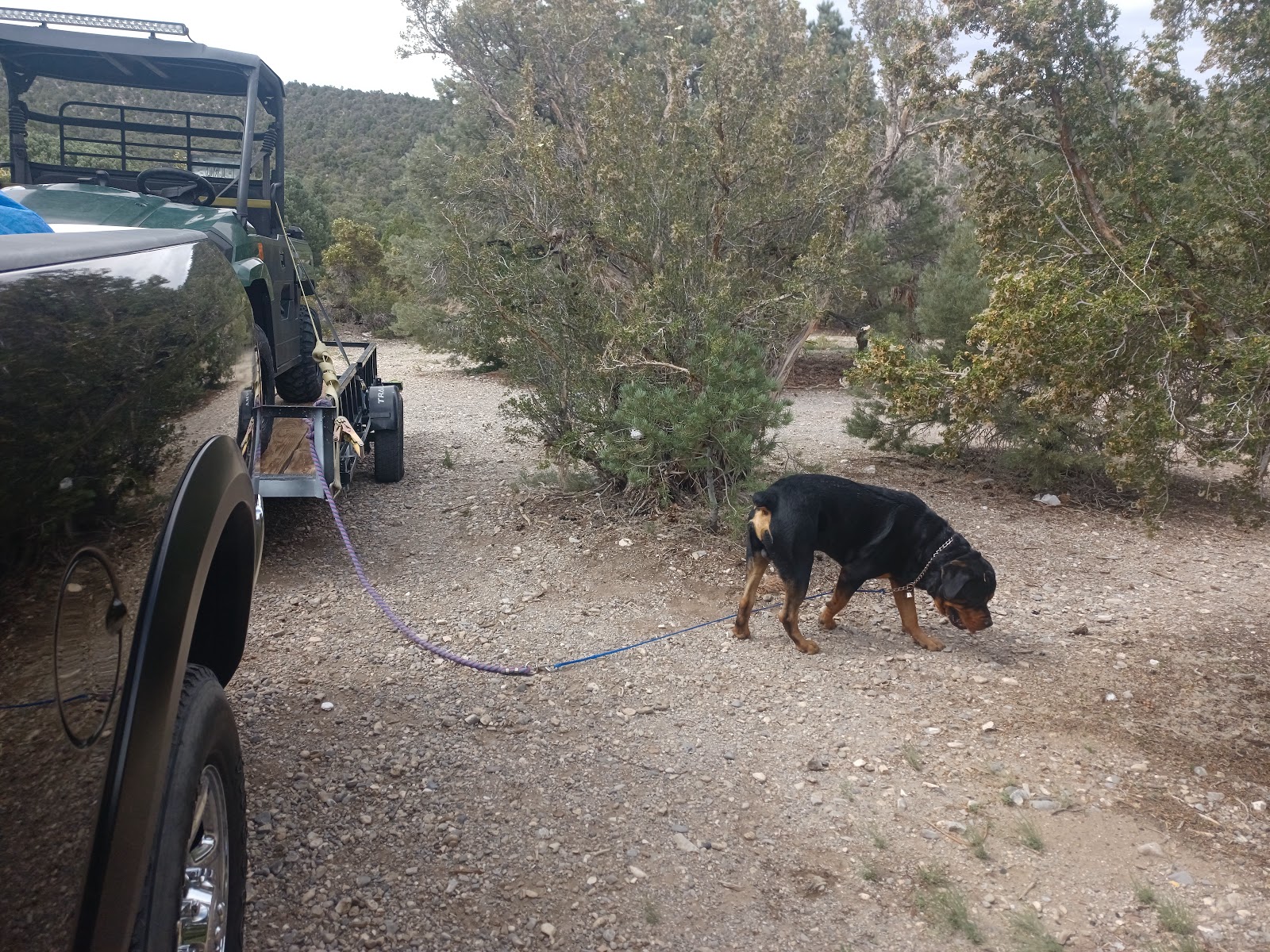 Blue Tree Group Camp