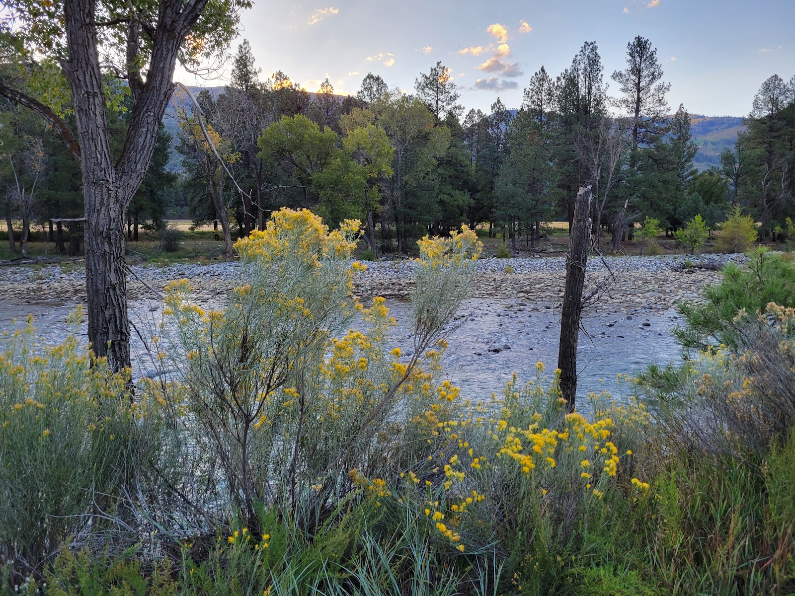Junction West Durango Riverside