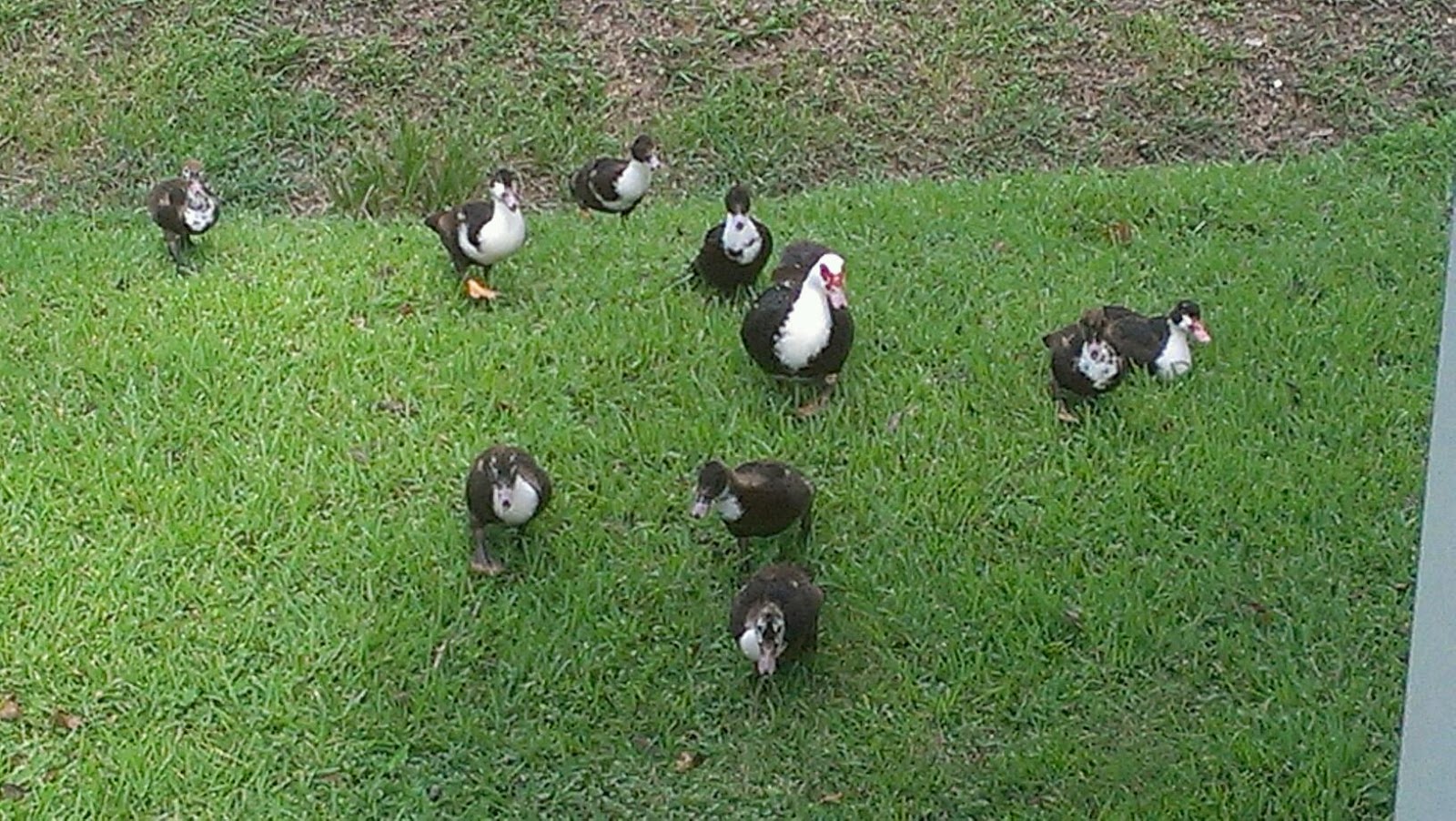 Almost Heaven RV Resort