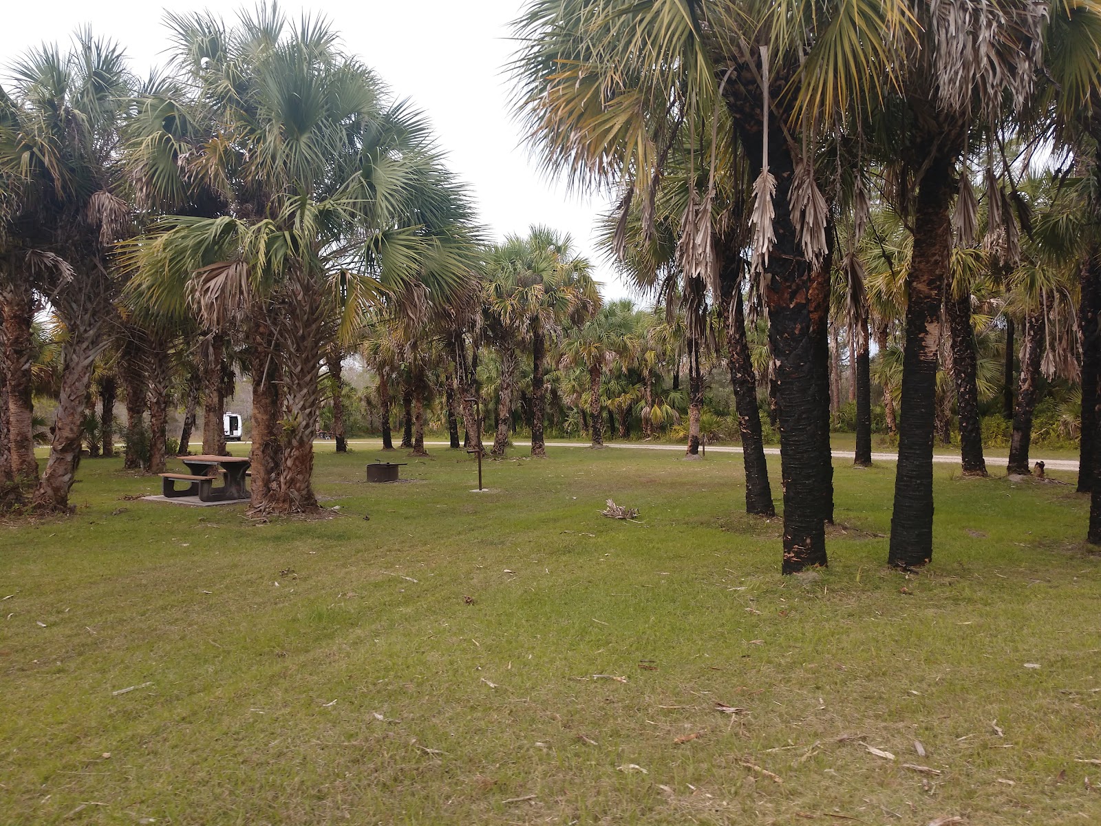 Bear Island Campground